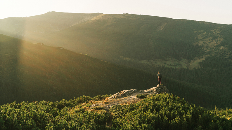 InvestPath® Digital Advisor